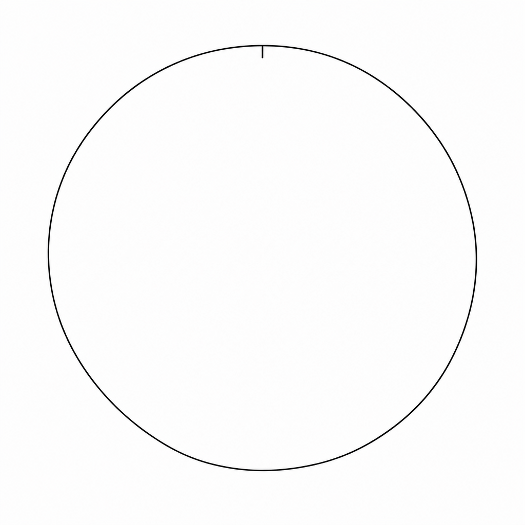 A blank circle for drawing a pie chart.