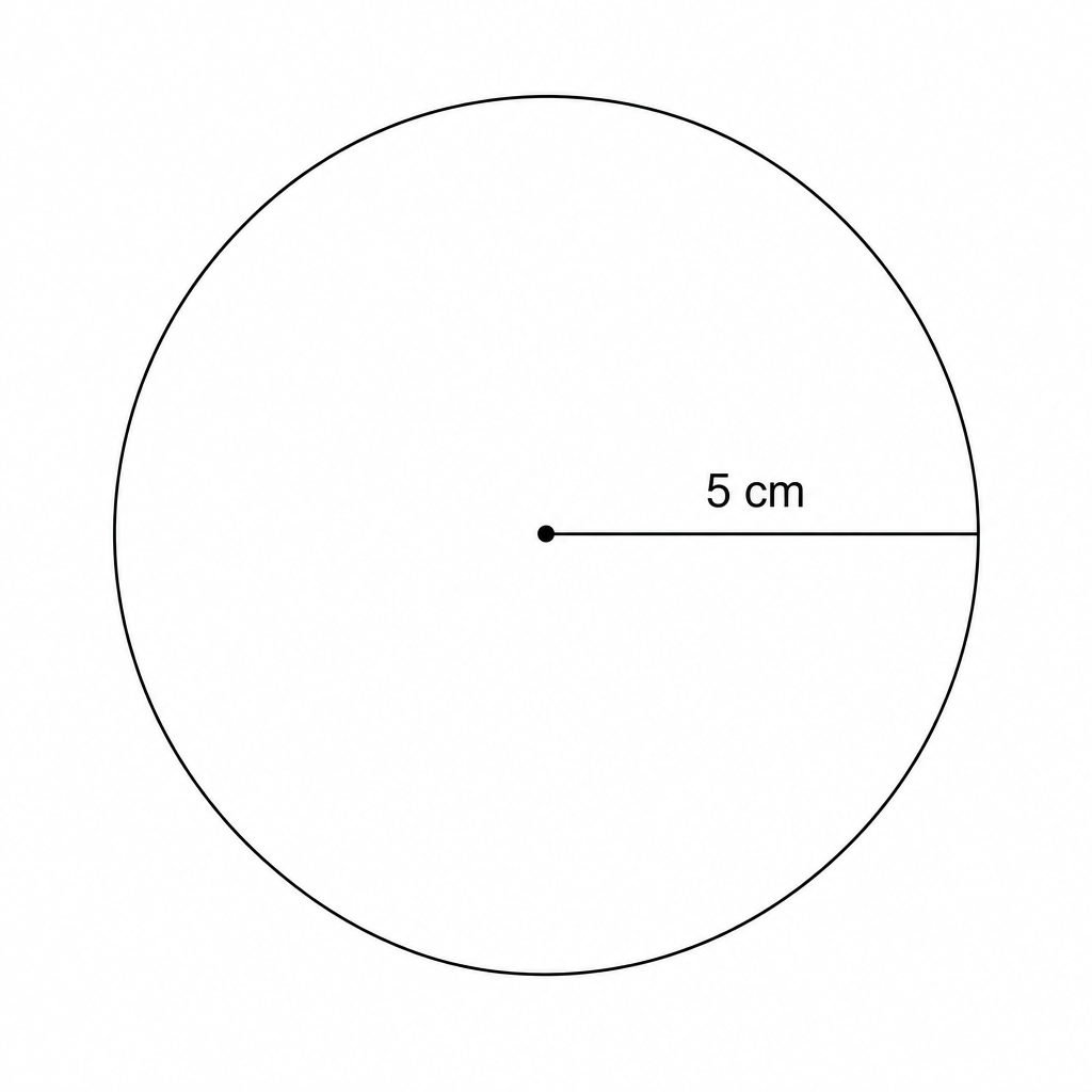 A circular coaster with a radius of 5 cm.