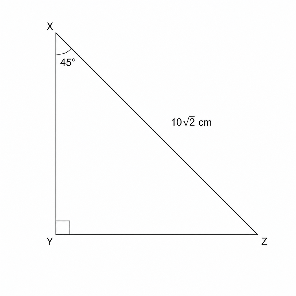 Right-angled triangle XYZ with right angle at Y, angle X = 45 degrees, and hypotenuse XZ = 10\sqrt{2} cm.