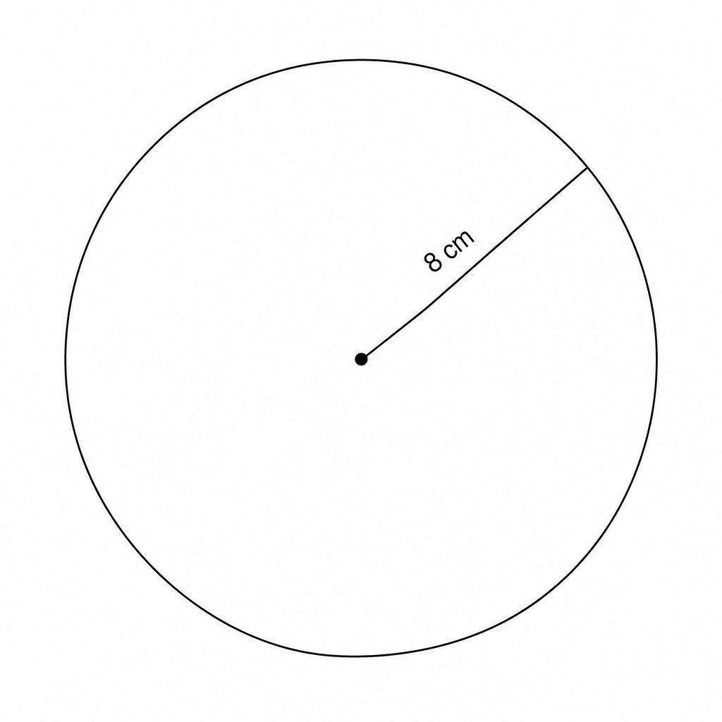 A circle with a radius of 8 cm.