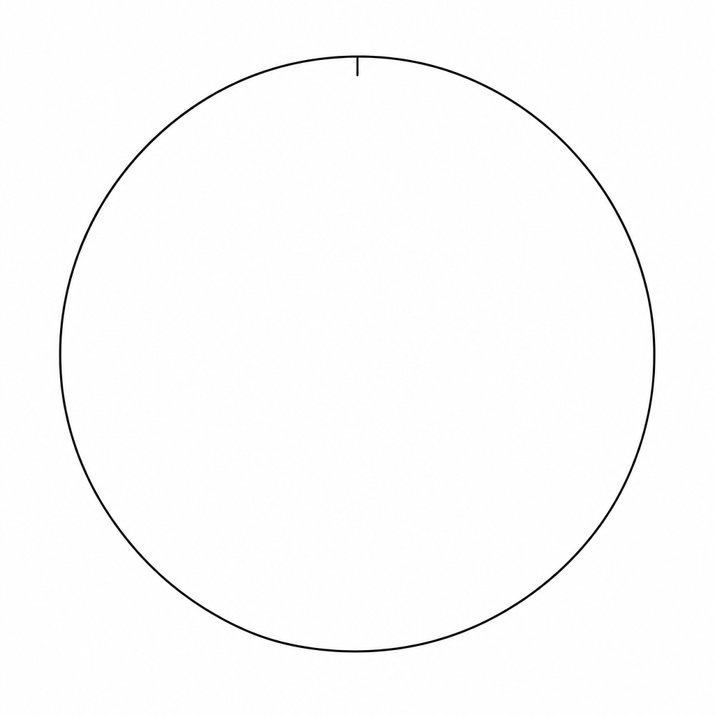 A large circle for drawing a pie chart.