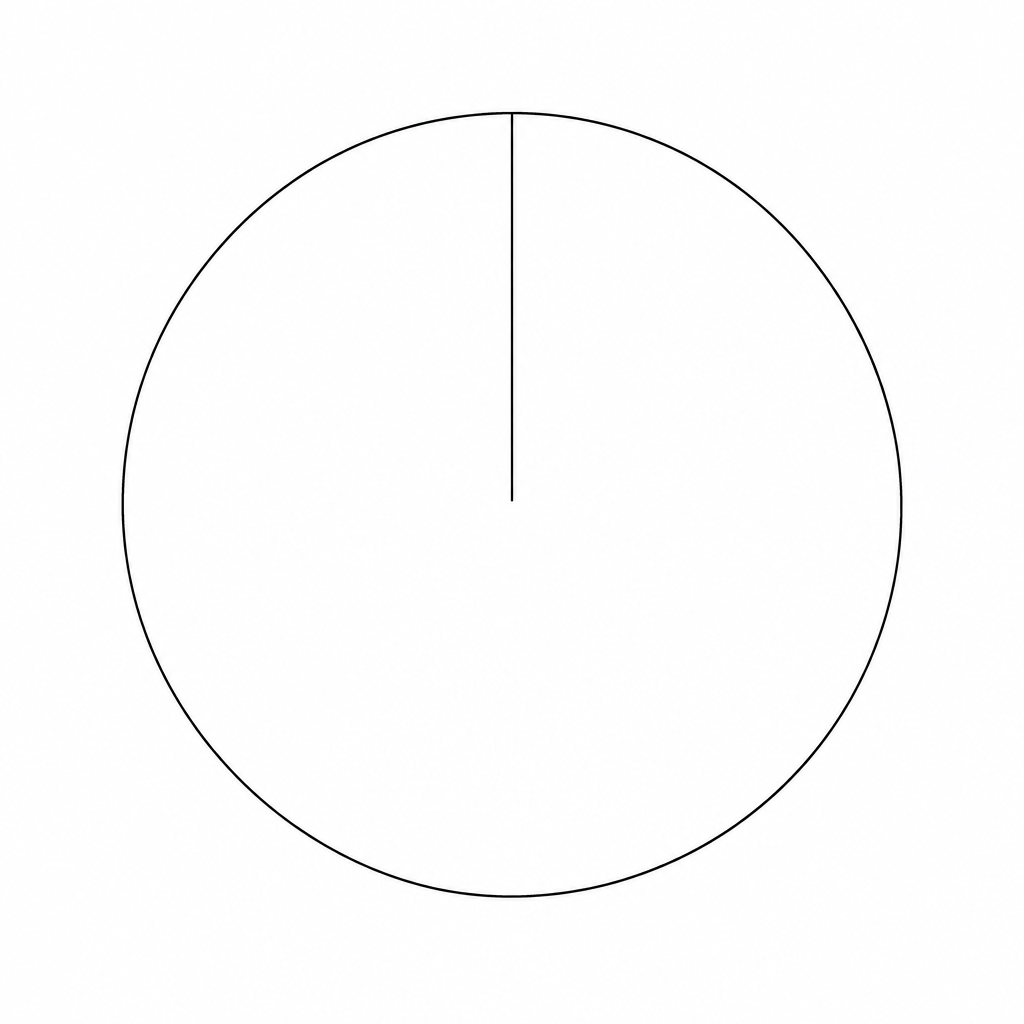A large circle for drawing a pie chart.