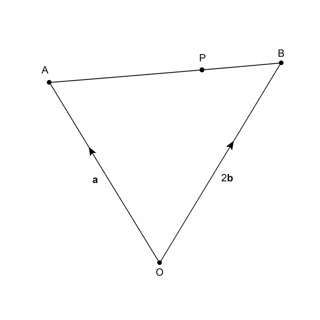 A vector diagram showing a triangle OAB. Vector OA is labeled 'a' and vector OB is labeled '2b'.