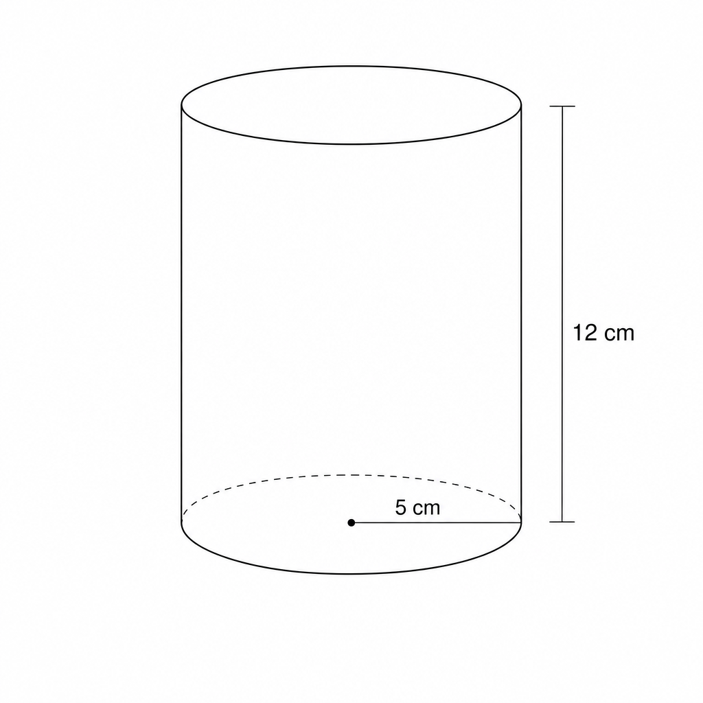 Diagram of a cylinder with radius 5 cm and height 12 cm.