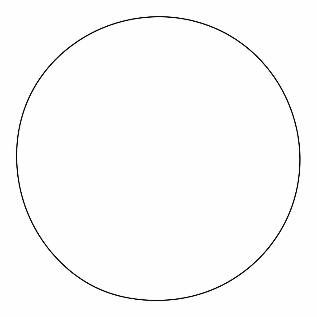 A blank circle for drawing a pie chart.