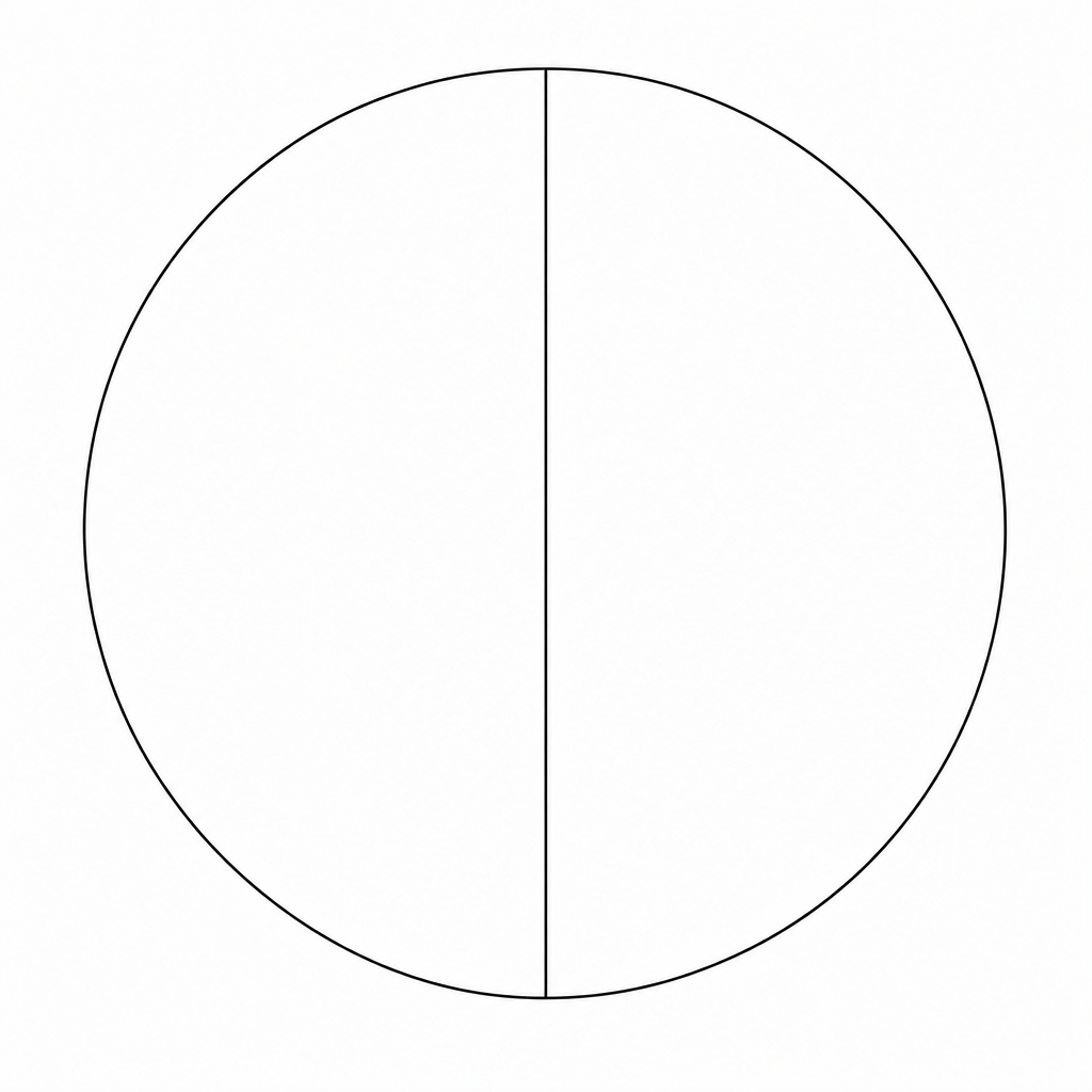 A circle divided vertically