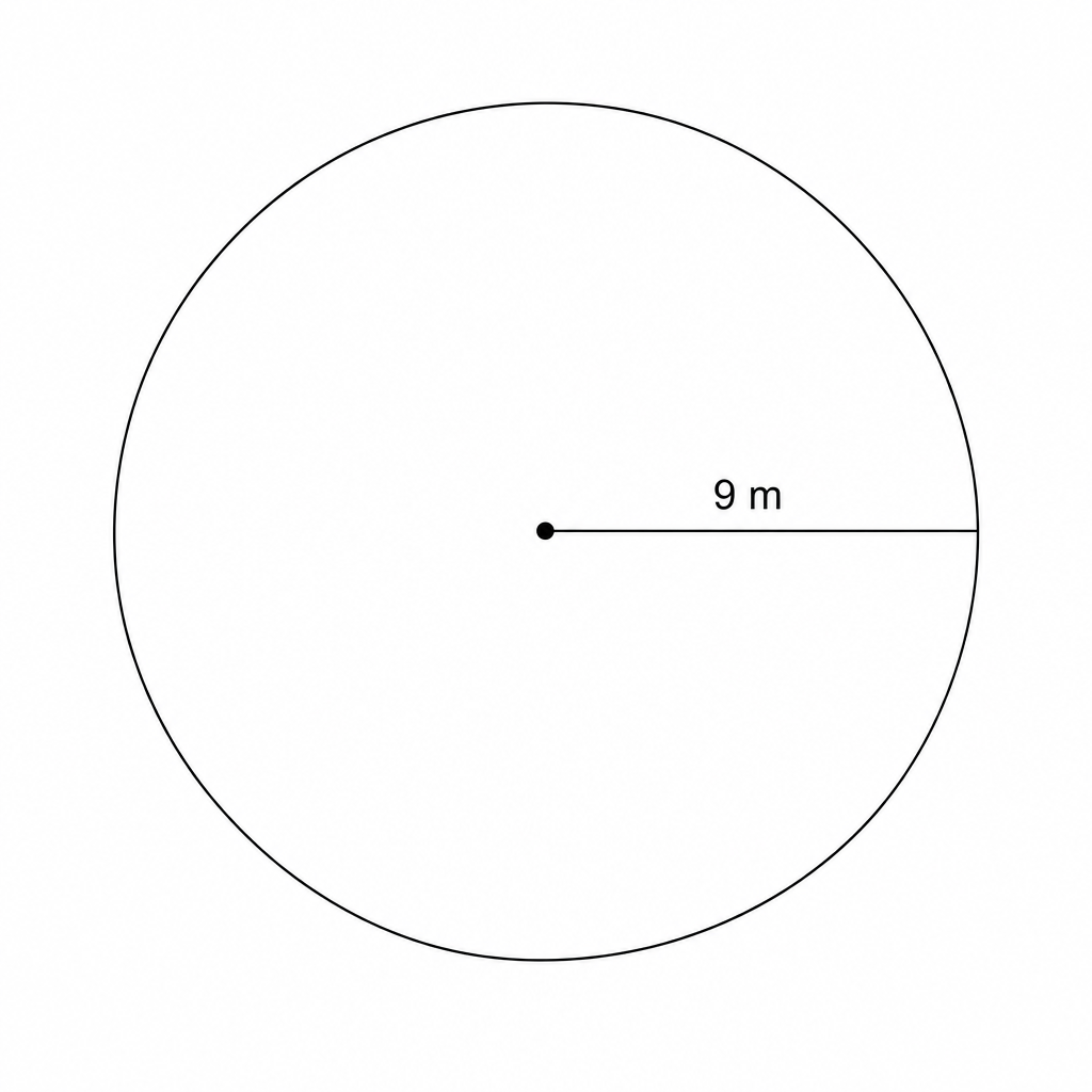 A circular pond with a radius of 9 m.