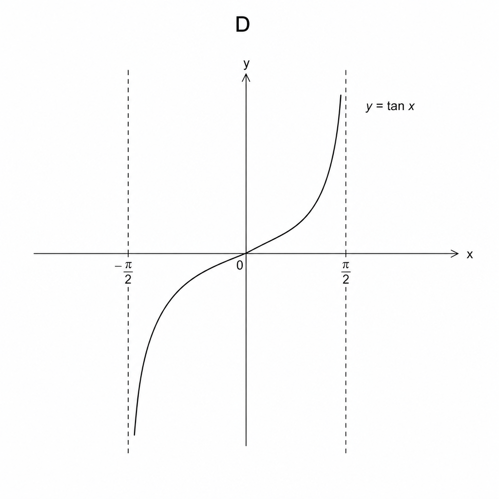 Graph D