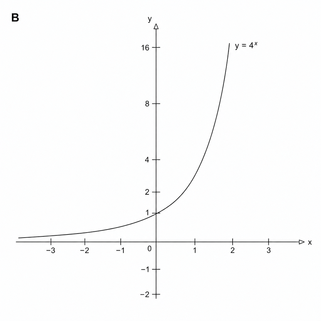 Graph B