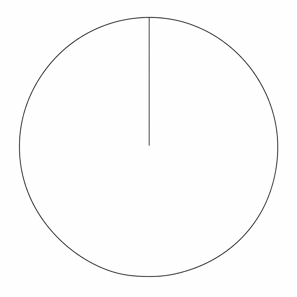 A blank circle for drawing a pie chart.