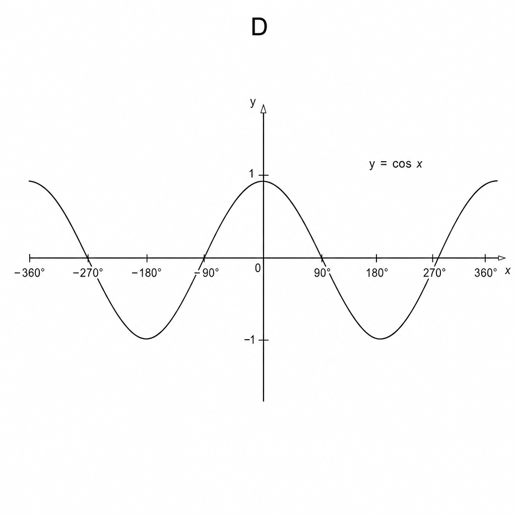 Graph D