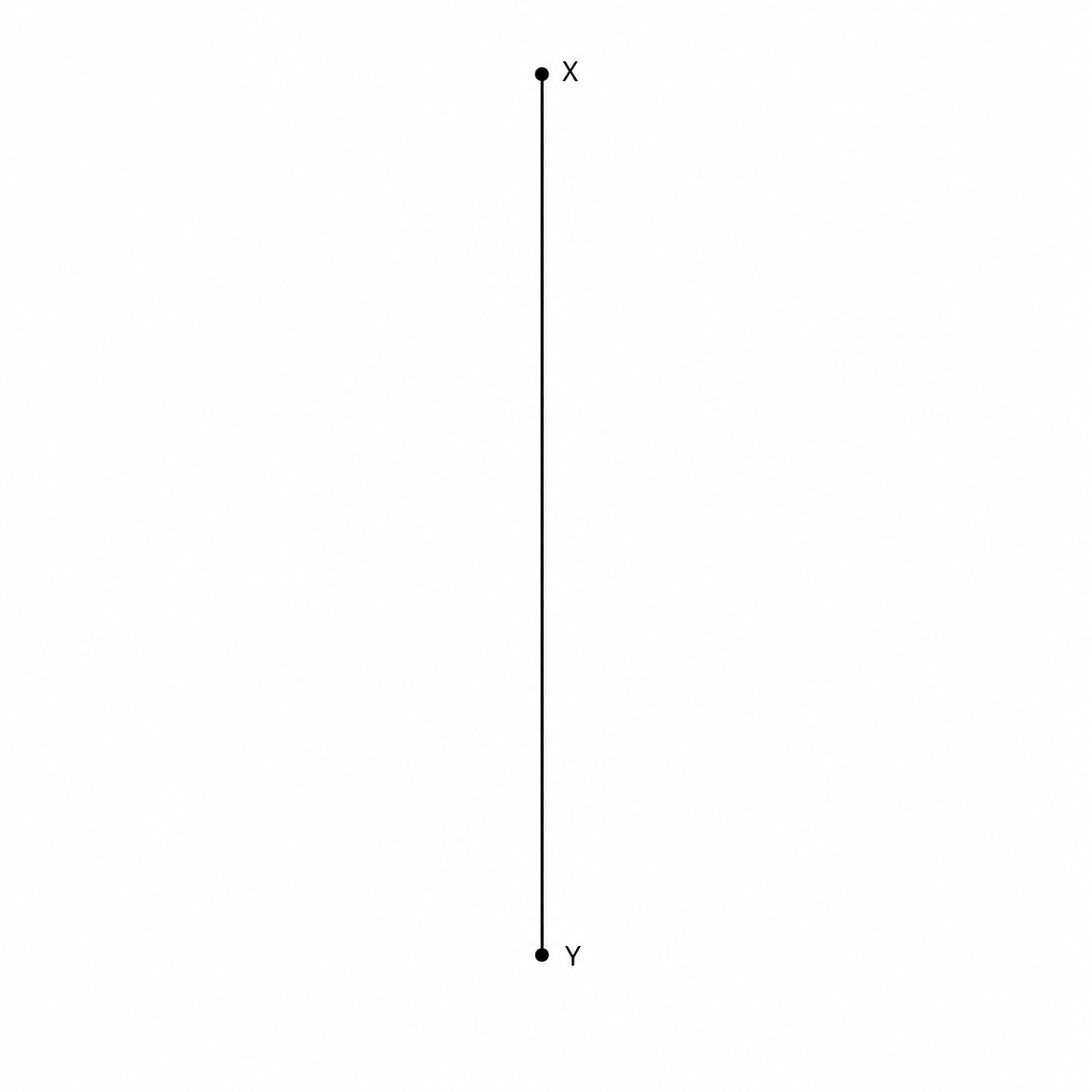 A vertical line segment with endpoints labeled X and Y.