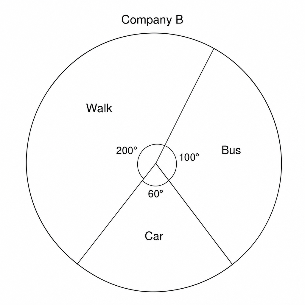 A pie chart for Company B.