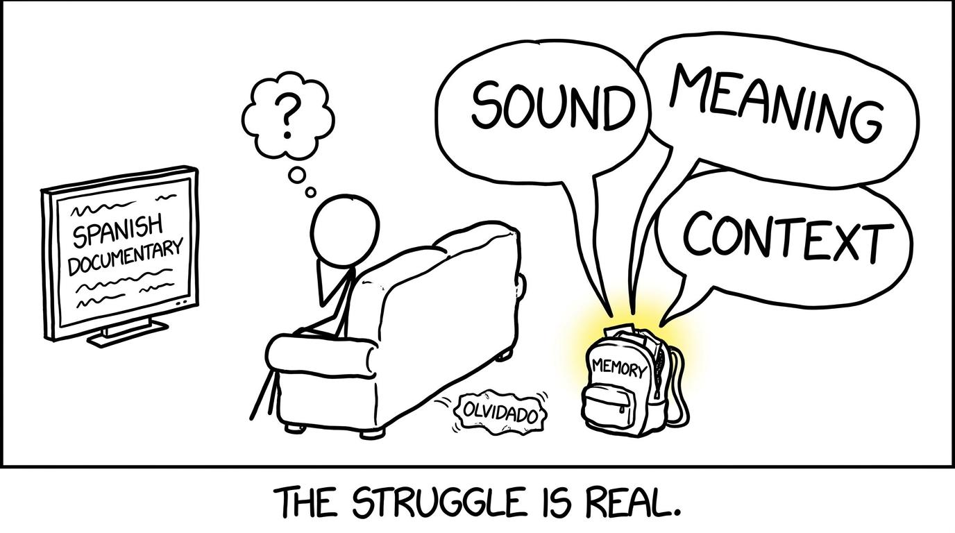 Sounds, meanings and context trying to fit inside a student's memory