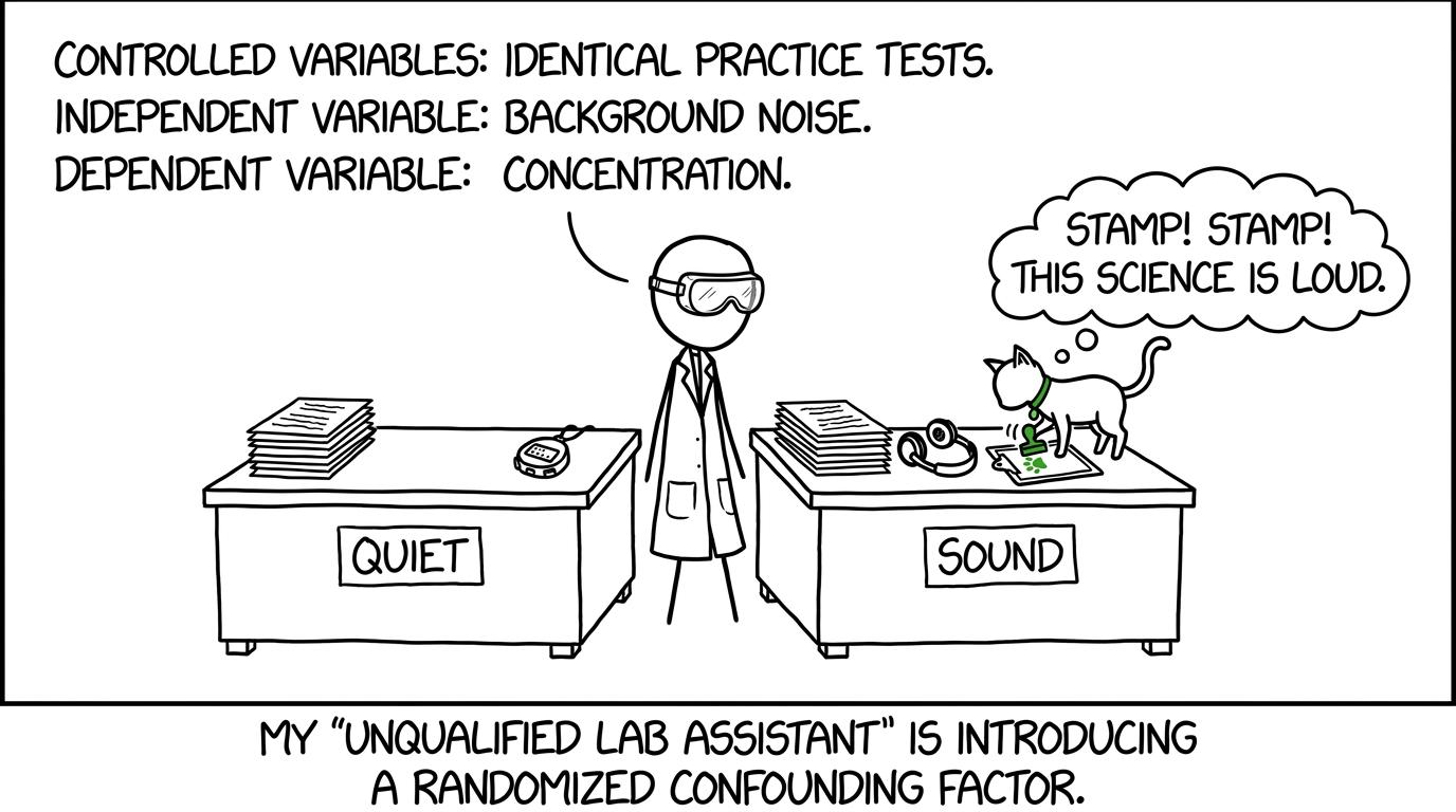 A student and an unqualified cat assistant testing quiet against background sound