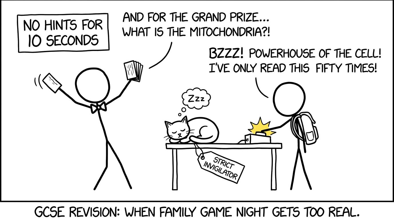A sibling runs a no-hints flashcard game while a cat acts as the strict invigilator