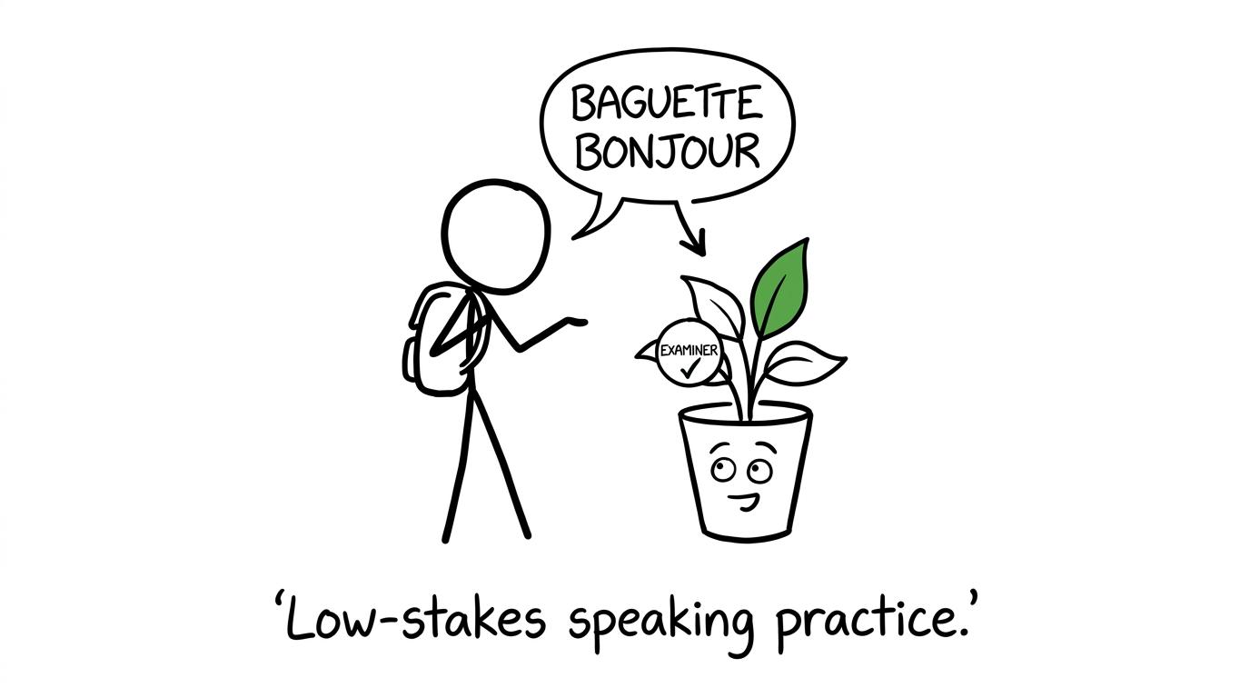 A houseplant acts as a friendly examiner during speaking practice