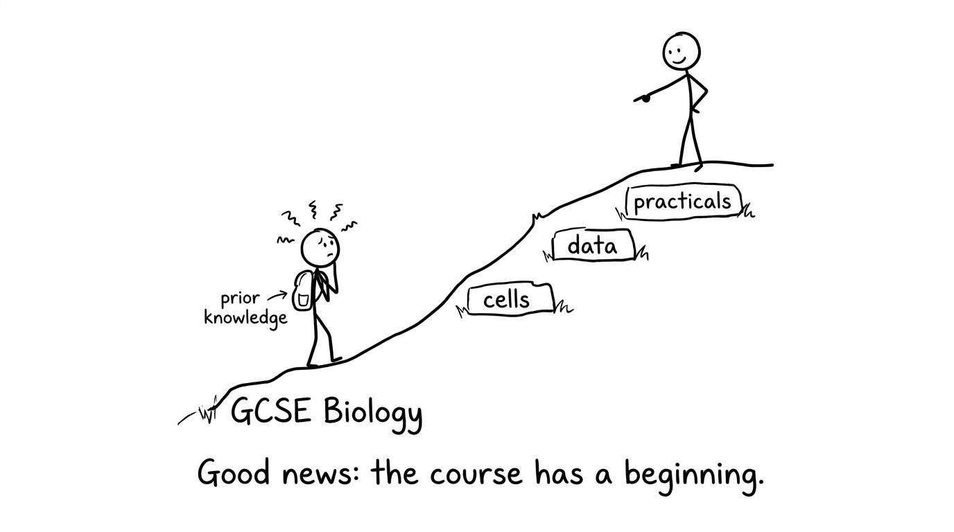A student discovers that GCSE Biology has a beginning