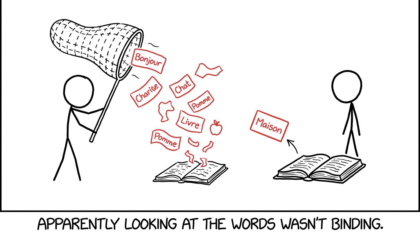 French vocabulary escapes while one useful flashcard returns for another test