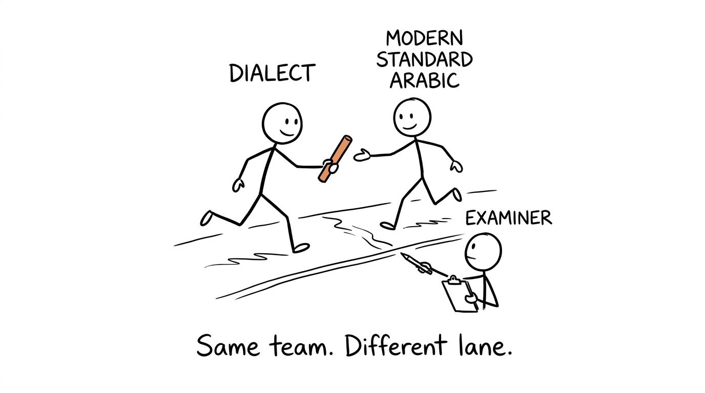 Dialect and Modern Standard Arabic pass a baton in the correct exam lane