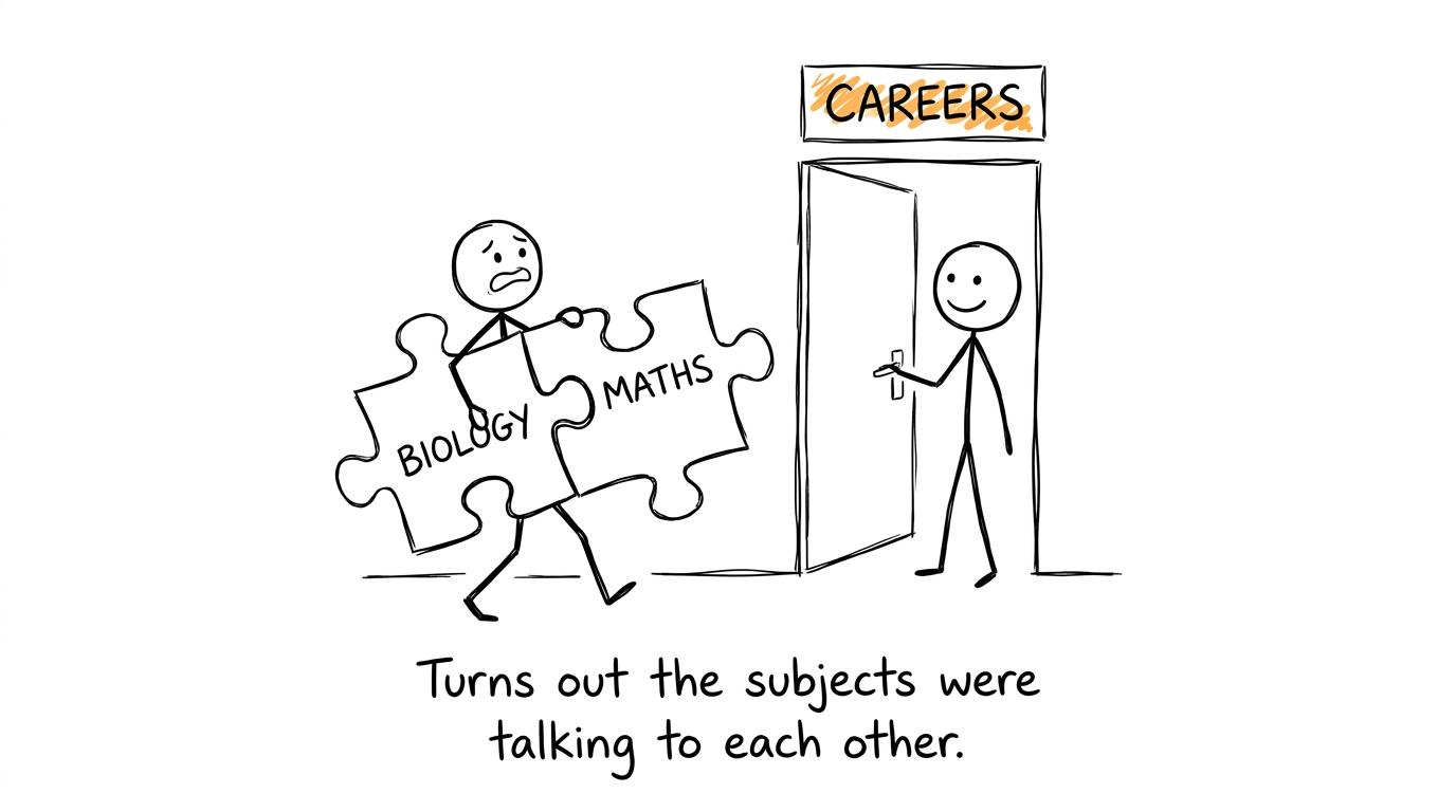 Biology and maths turn out to be working together