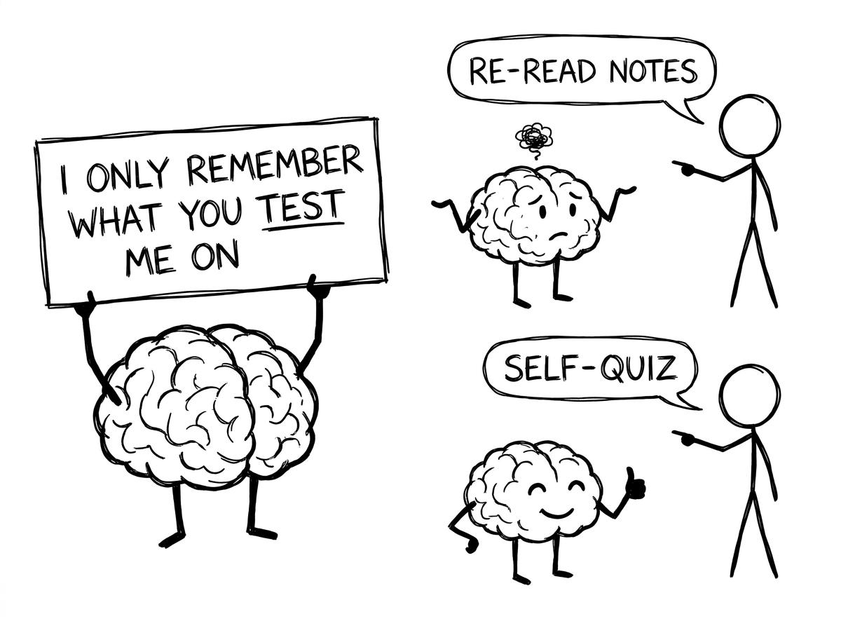A brain character holding a sign: remember what you test