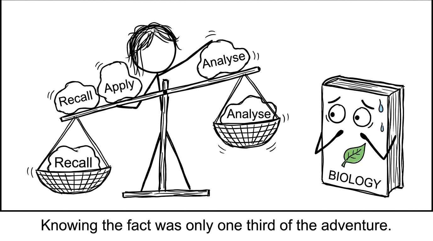 Recall, application and analysis wobble together on a revision balance
