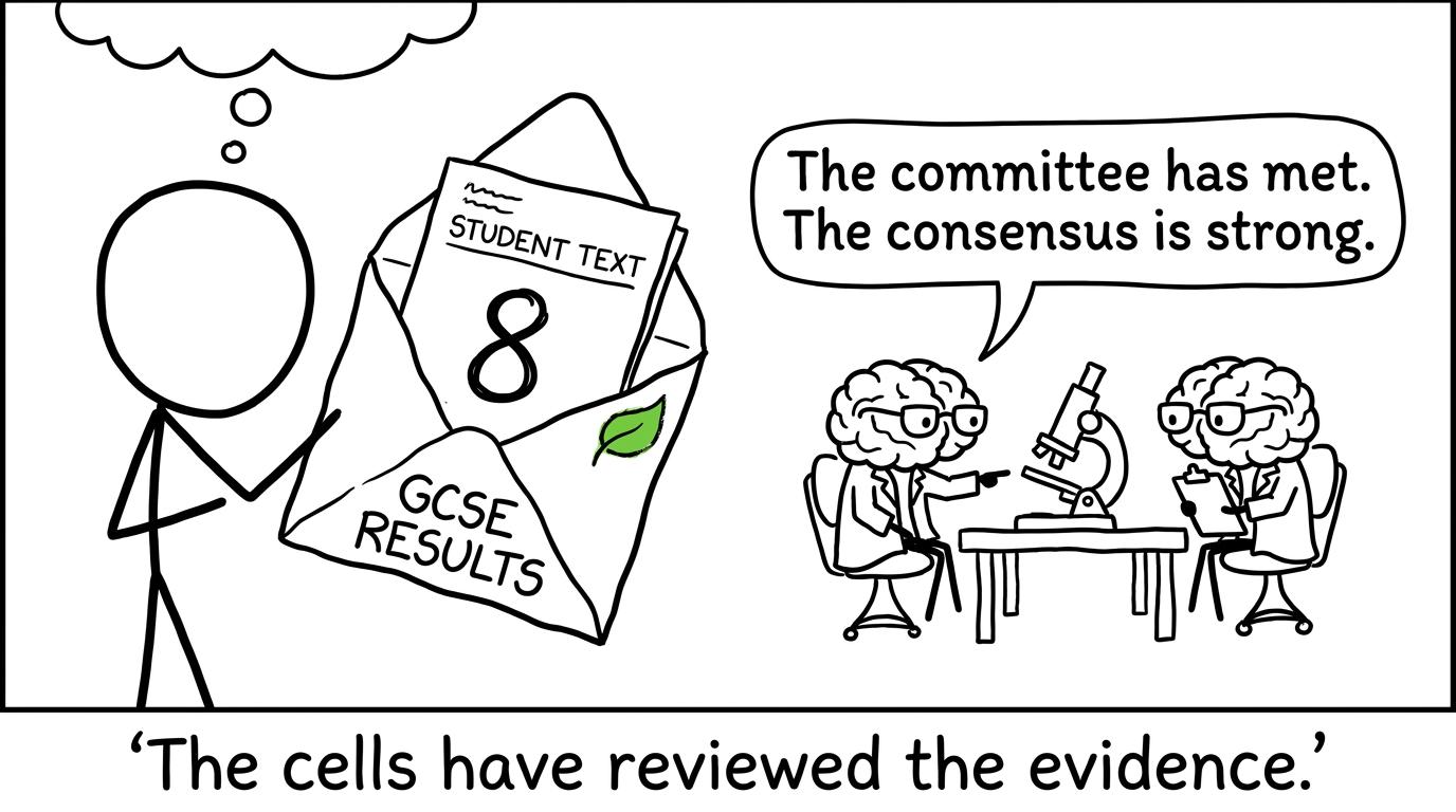 A student opens a grade 8 result while brain cells review the evidence