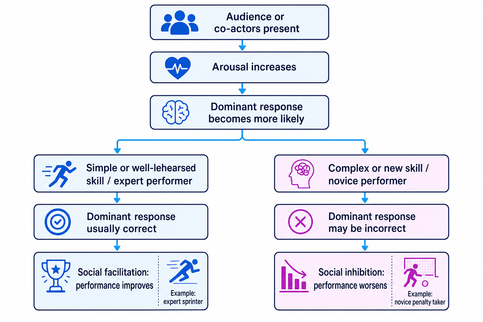 Flowchart showing audience or co-actors present leading to increased arousal, a stronger dominant response, and then social facilitation for simple well-learned tasks or social inhibition for complex new tasks