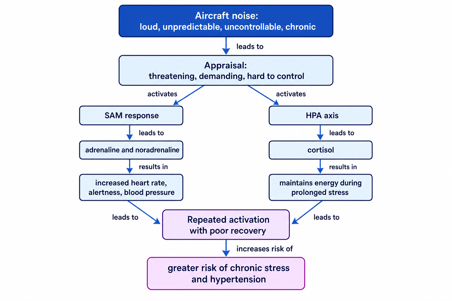 Flow diagram of aircraft noise leading to appraisal, SAM and HPA pathways, repeated activation, and hypertension risk