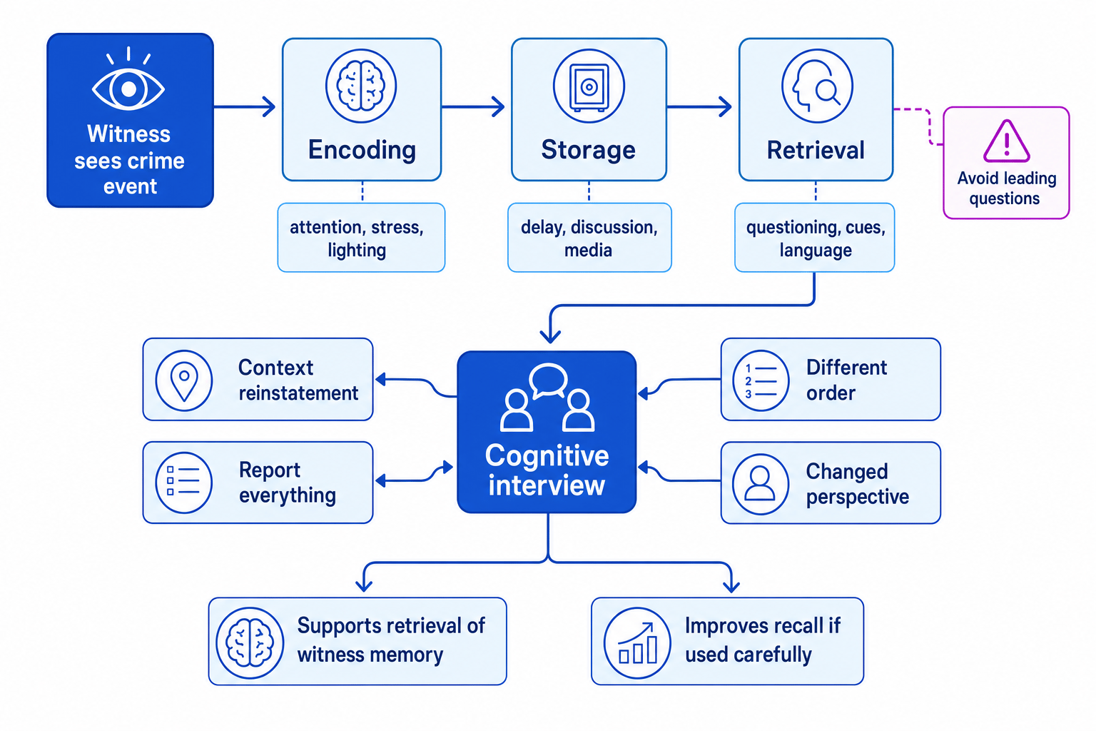 Flowchart of witness memory through encoding, storage, and retrieval, linked to the four cognitive interview techniques and a warning to avoid leading questions