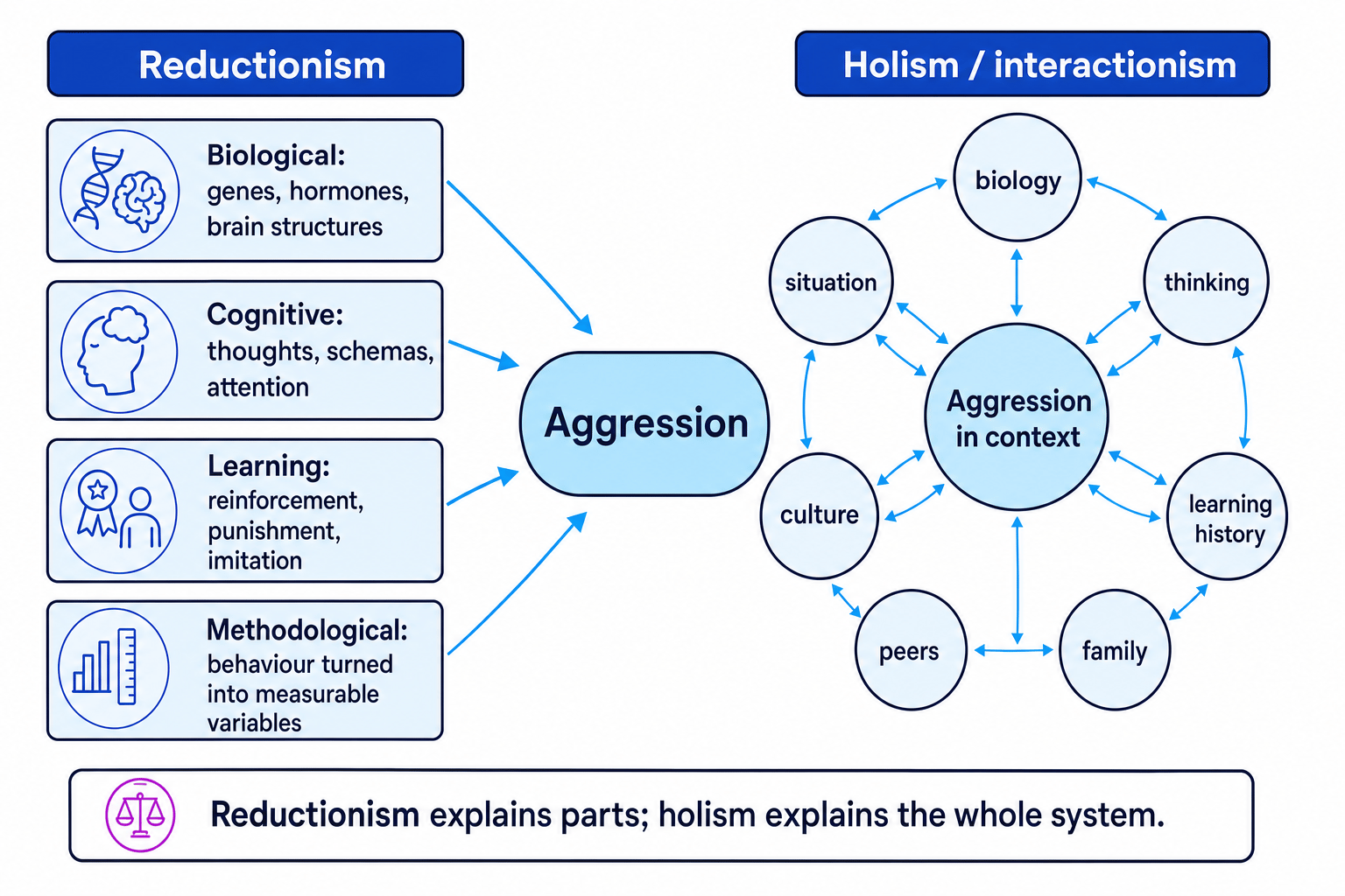 Comparison diagram showing aggression explained reductionistically by biological, cognitive, learning and methodological levels versus holistically by interacting biology, thinking, family, peers, culture and situation
