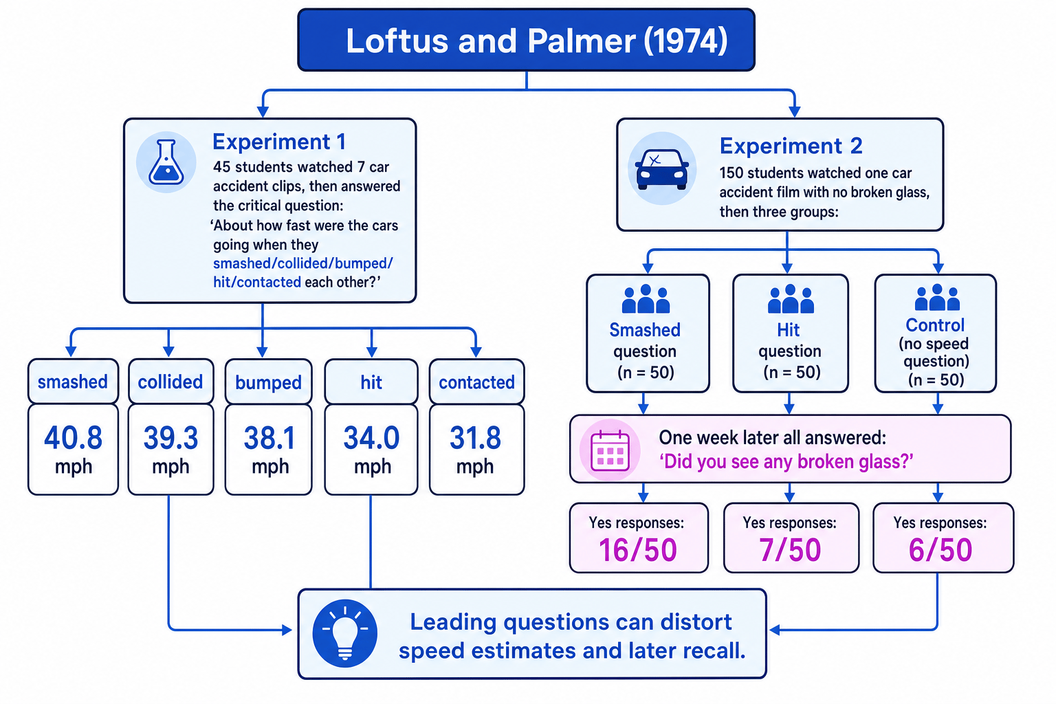 Flow diagram comparing Loftus and Palmer Experiment 1 on speed estimates and Experiment 2 on broken glass recall