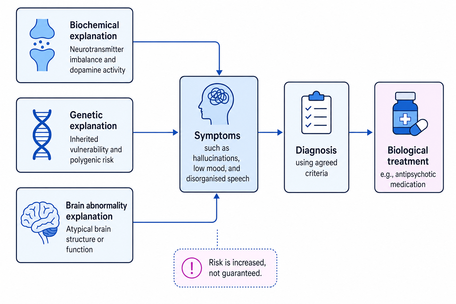 Flowchart showing biochemical, genetic, and brain-abnormality explanations feeding into symptoms, diagnosis, and biological treatment, with a note that risk is increased not guaranteed