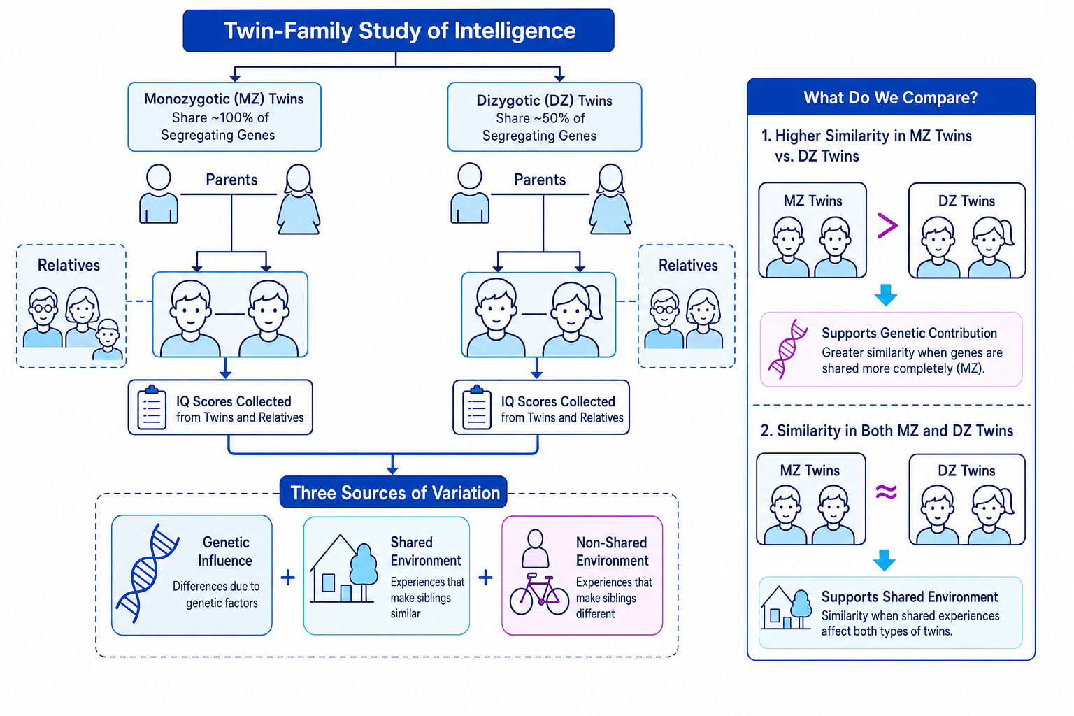 Twin-family study of intelligence showing MZ and DZ twins, relatives, IQ scores, genetic influence, shared environment and non-shared environment
