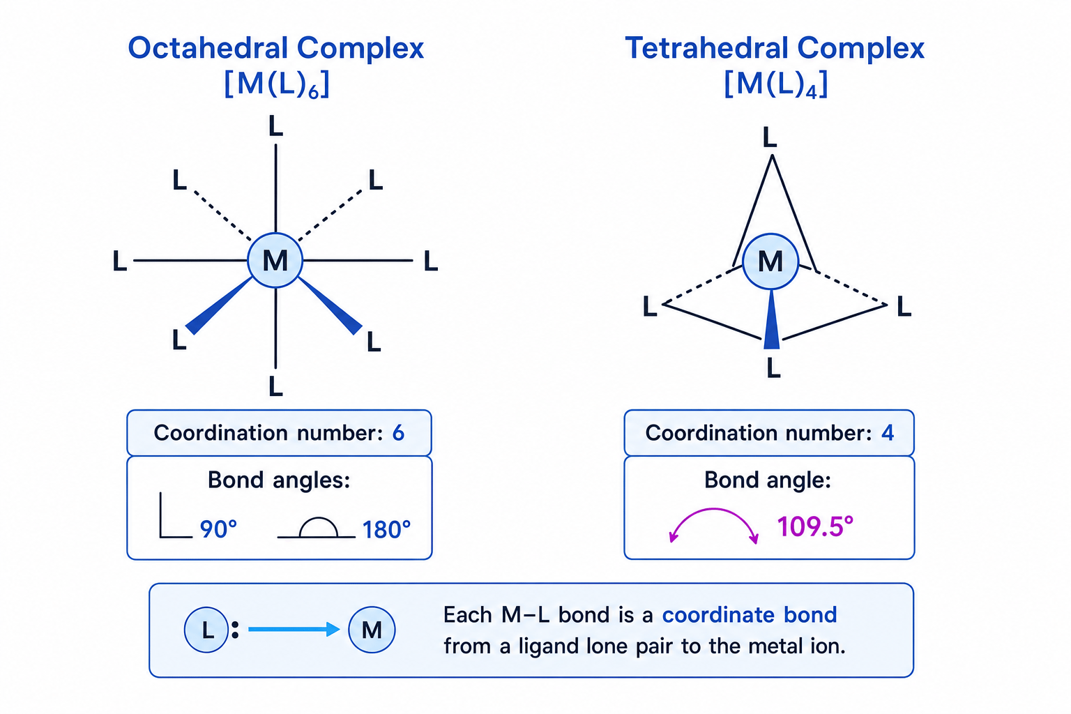 Octahedral and tetrahedral transition-metal complex geometries