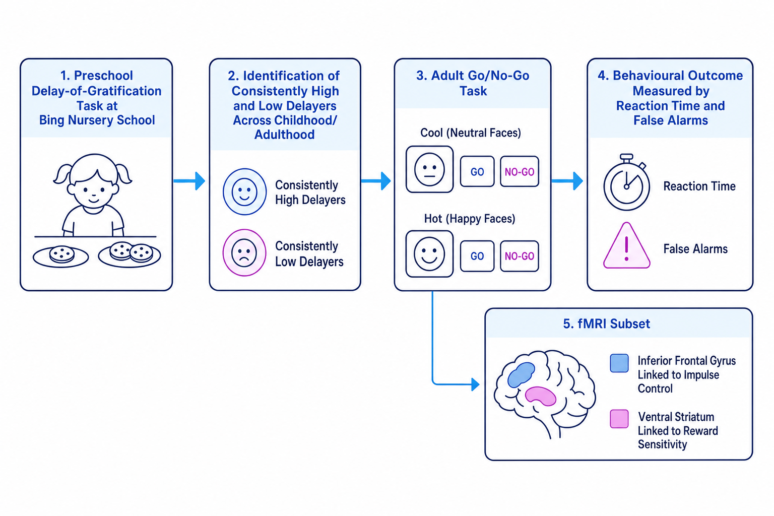 Flow diagram of Casey et al. showing the preschool delay task, adult go/no-go task, behavioural results, and fMRI brain regions