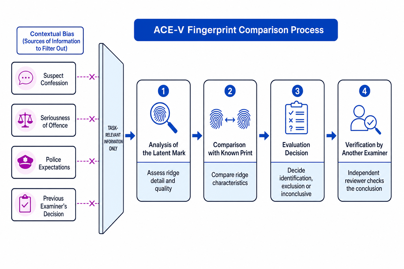 ACE-V fingerprint comparison process with contextual bias filtered out