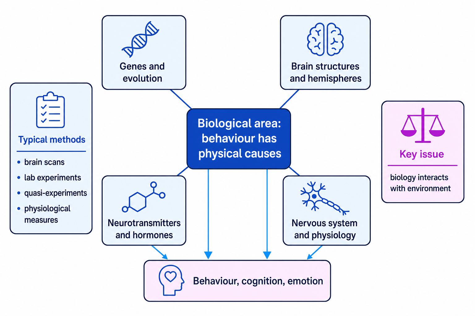 Concept map of the Biological area showing genes, brain structures, neurotransmitters, hormones, nervous system activity and behaviour