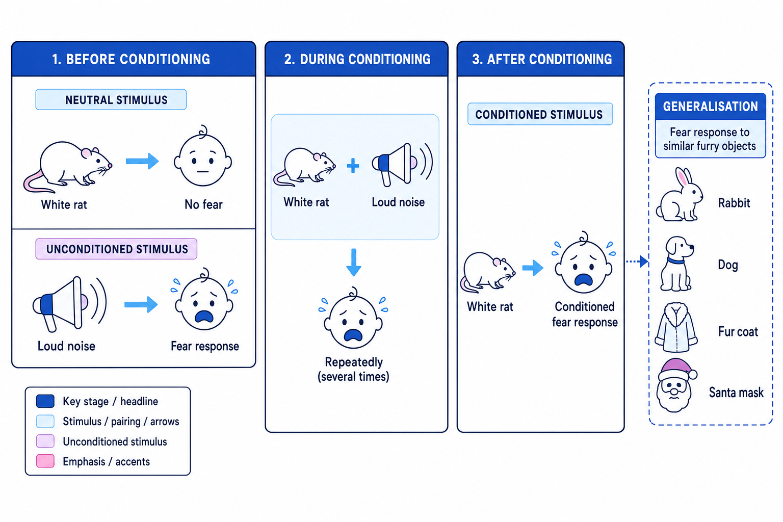 Flow diagram of classical conditioning in Watson and Rayner's Little Albert study