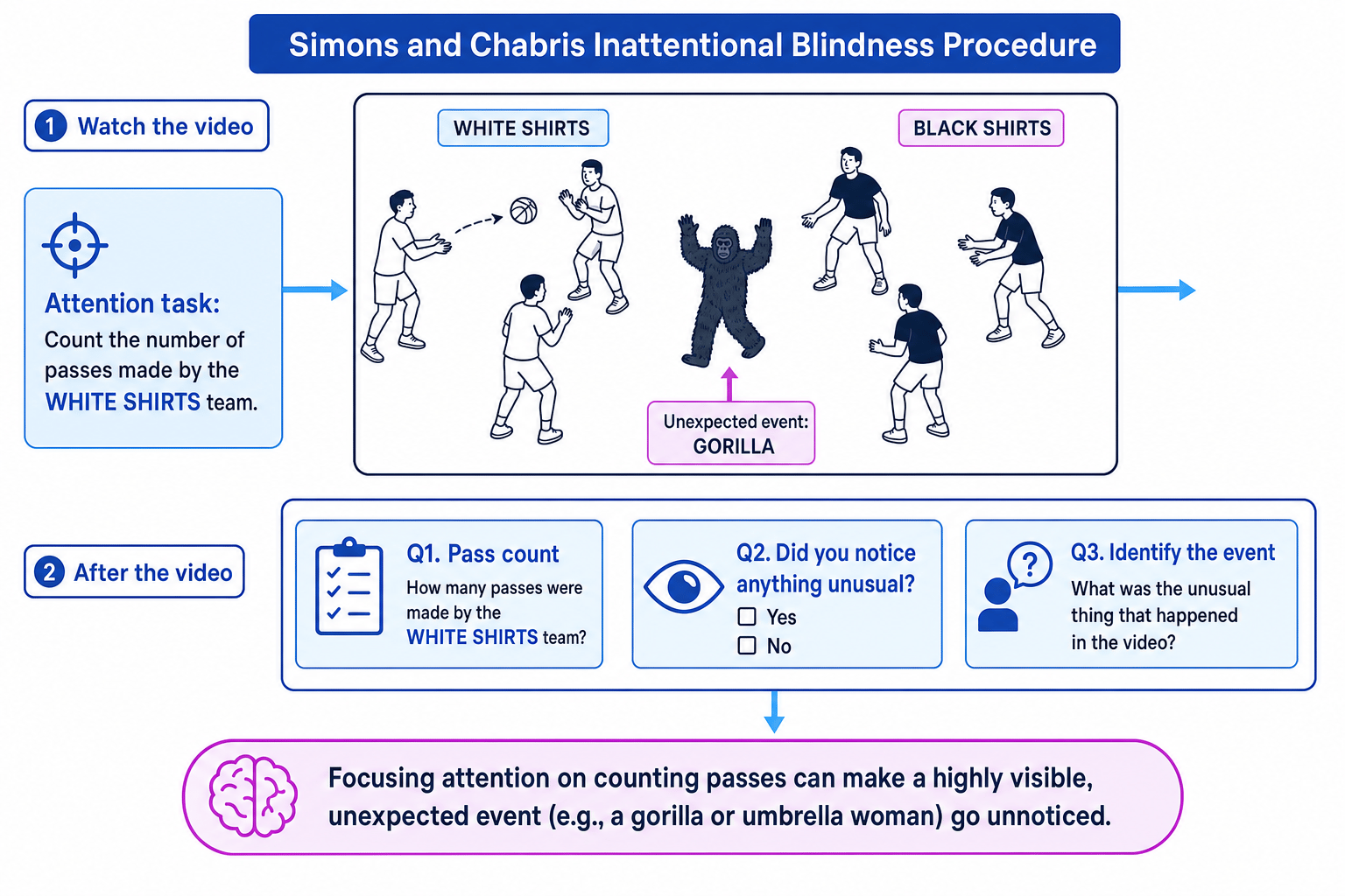 Schematic of the Simons and Chabris inattentional blindness procedure