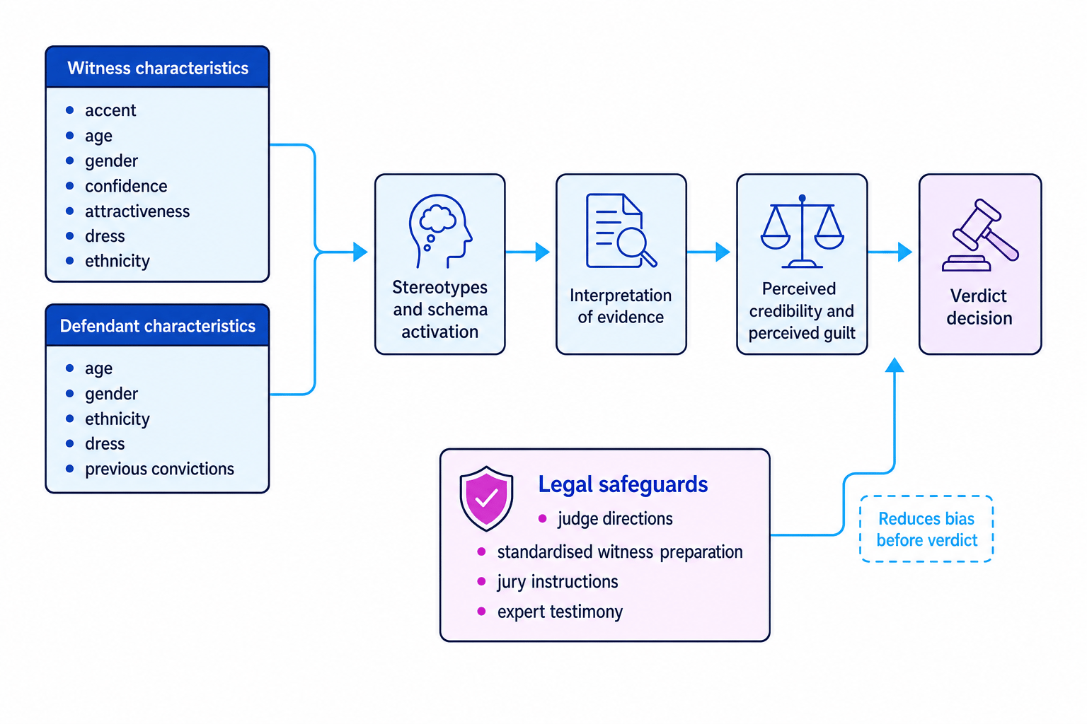 Flow diagram showing how witness and defendant characteristics can affect stereotypes, evidence interpretation, perceived credibility and verdict decisions