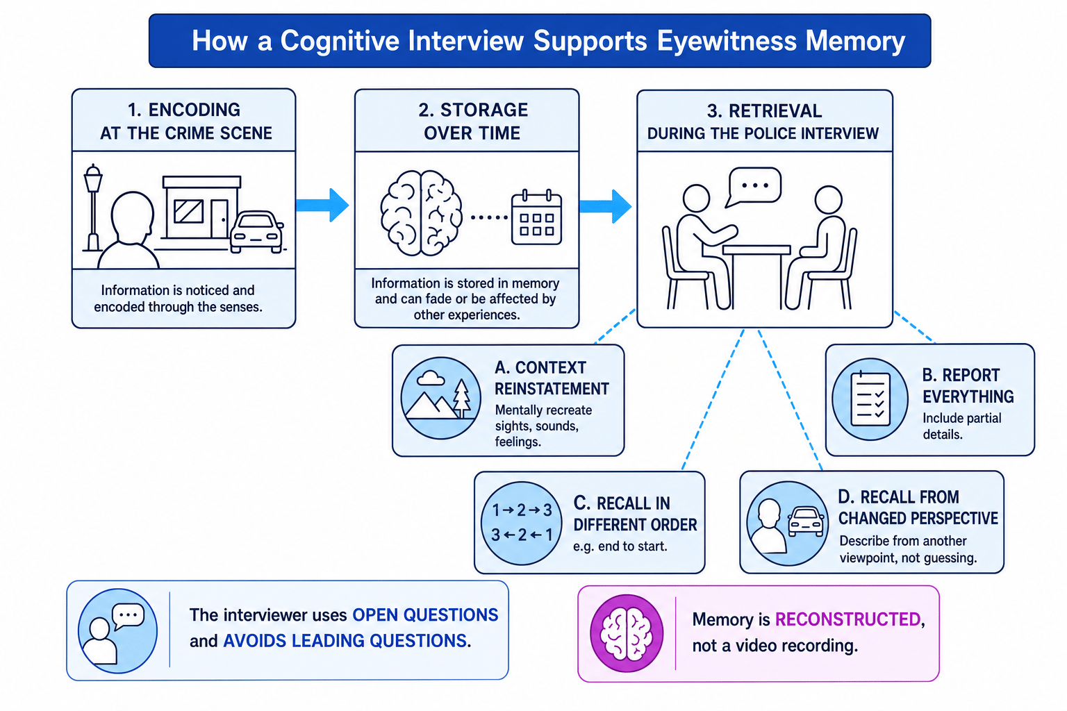 Diagram showing how a cognitive interview supports eyewitness memory through encoding, storage, retrieval, and four interview techniques