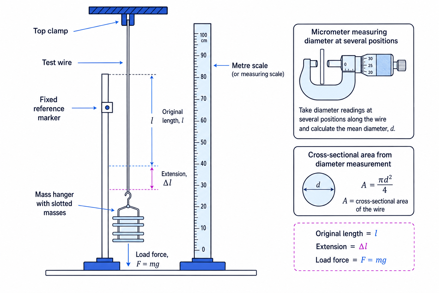Apparatus for determining the Young modulus of a metal wire