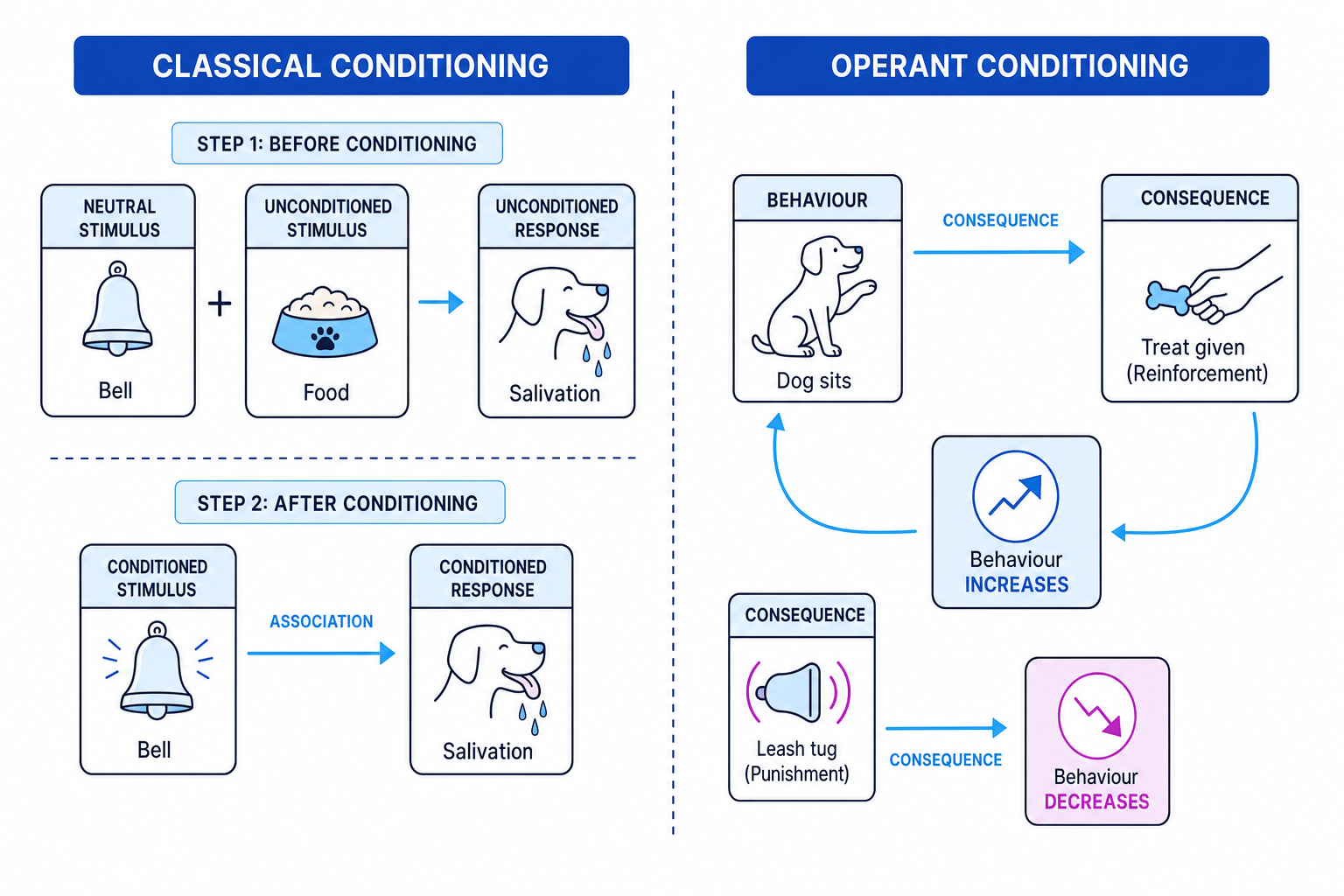 Diagram comparing classical conditioning and operant conditioning