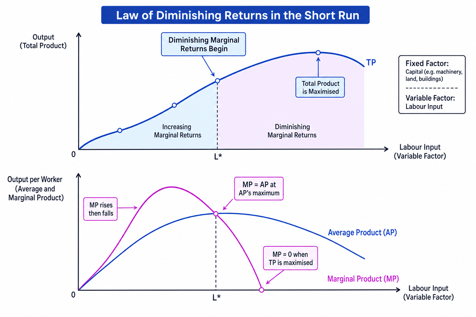 Diagram showing total product, average product and marginal product with diminishing marginal returns
