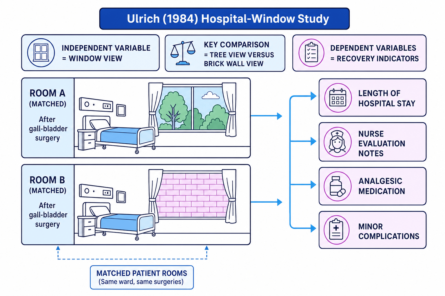 Schematic of Ulrich 1984 hospital window study showing tree-view and brick-wall rooms linked to recovery outcomes