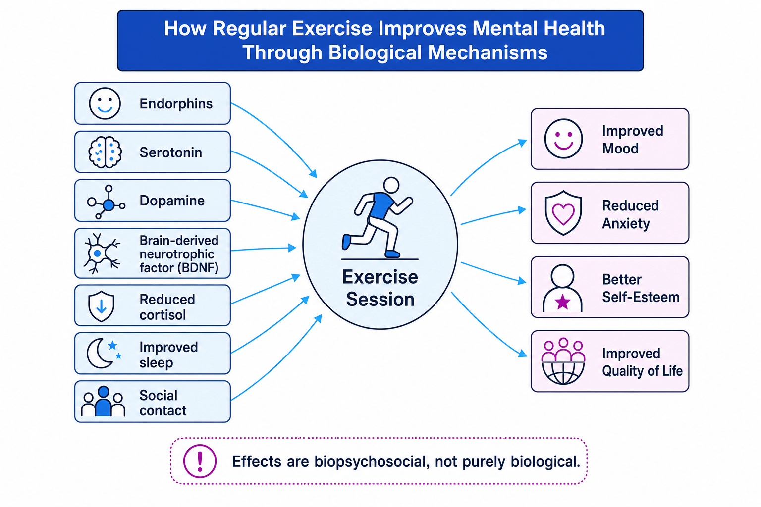 Diagram linking exercise to biological mechanisms and mental health outcomes
