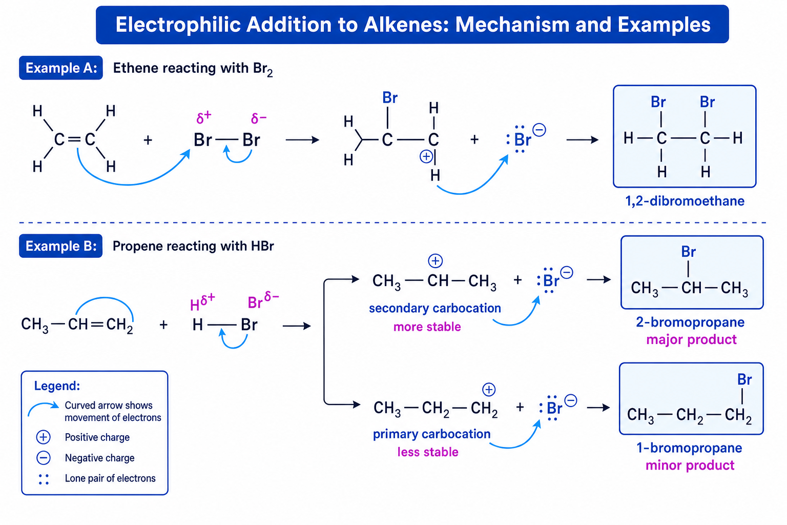 Electrophilic addition mechanisms for bromine and HBr with alkenes