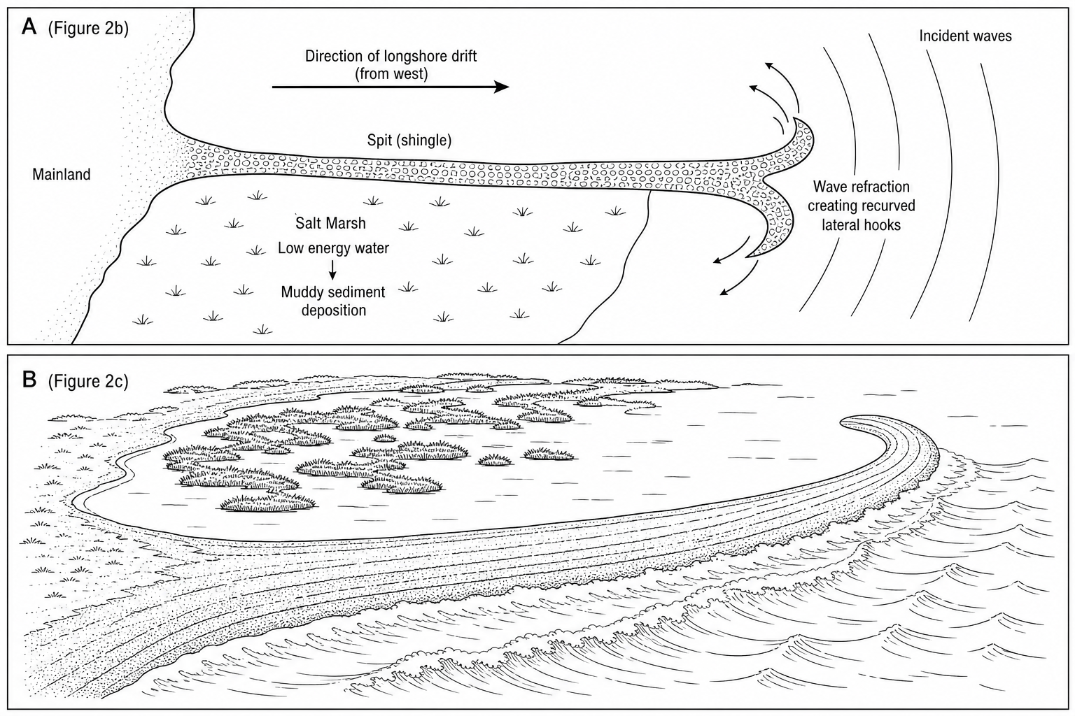 Figure 2b (Panel A) and Figure 2c (Panel B)